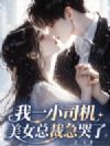 我一小司机,美女总裁急哭了