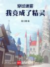 穿过迷雾,我竟成了精灵